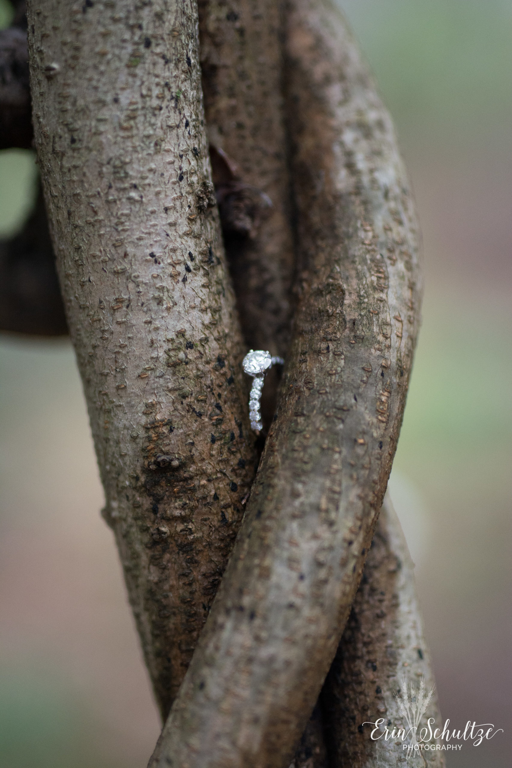 DSC_6107.jpg