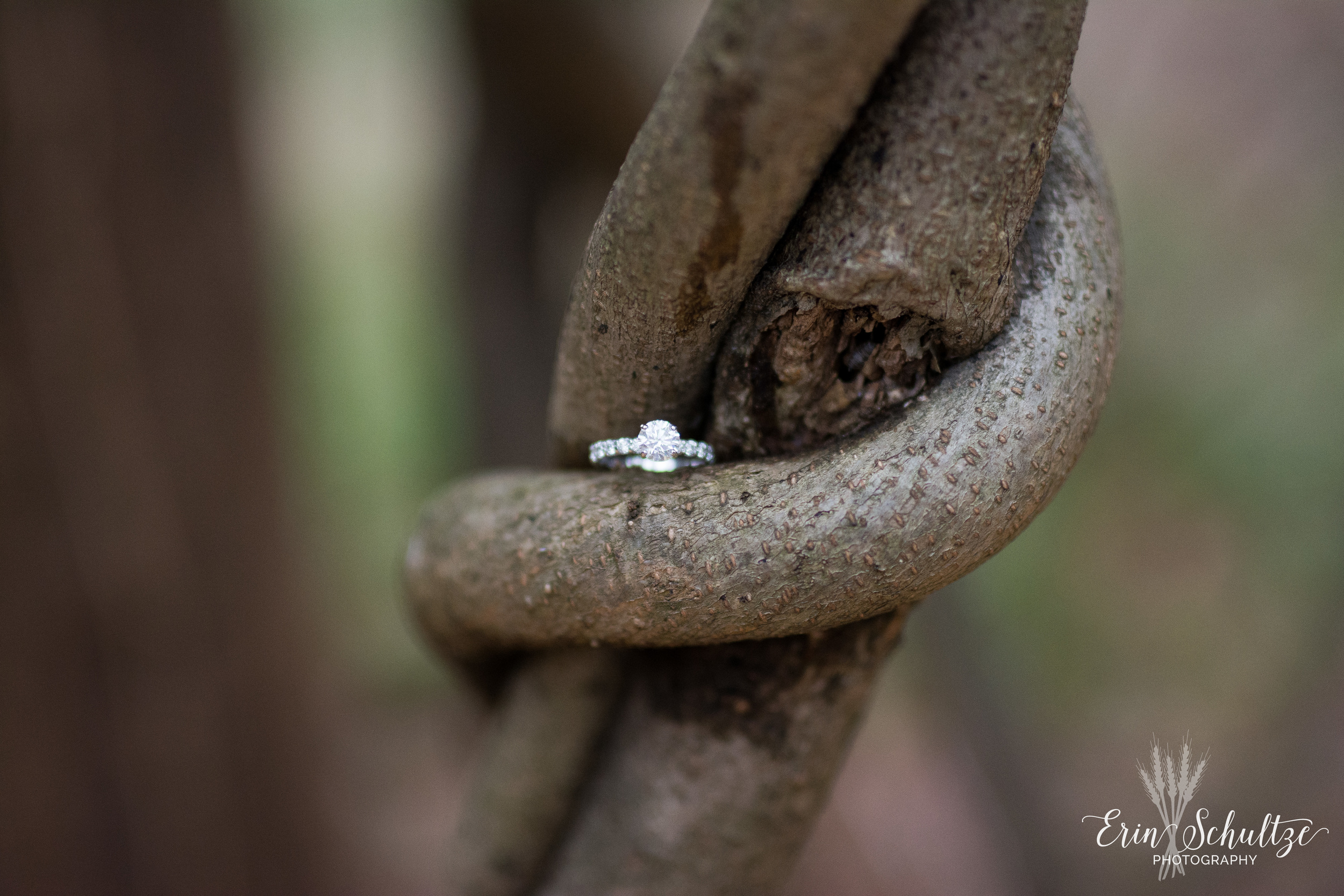 DSC_6109.jpg