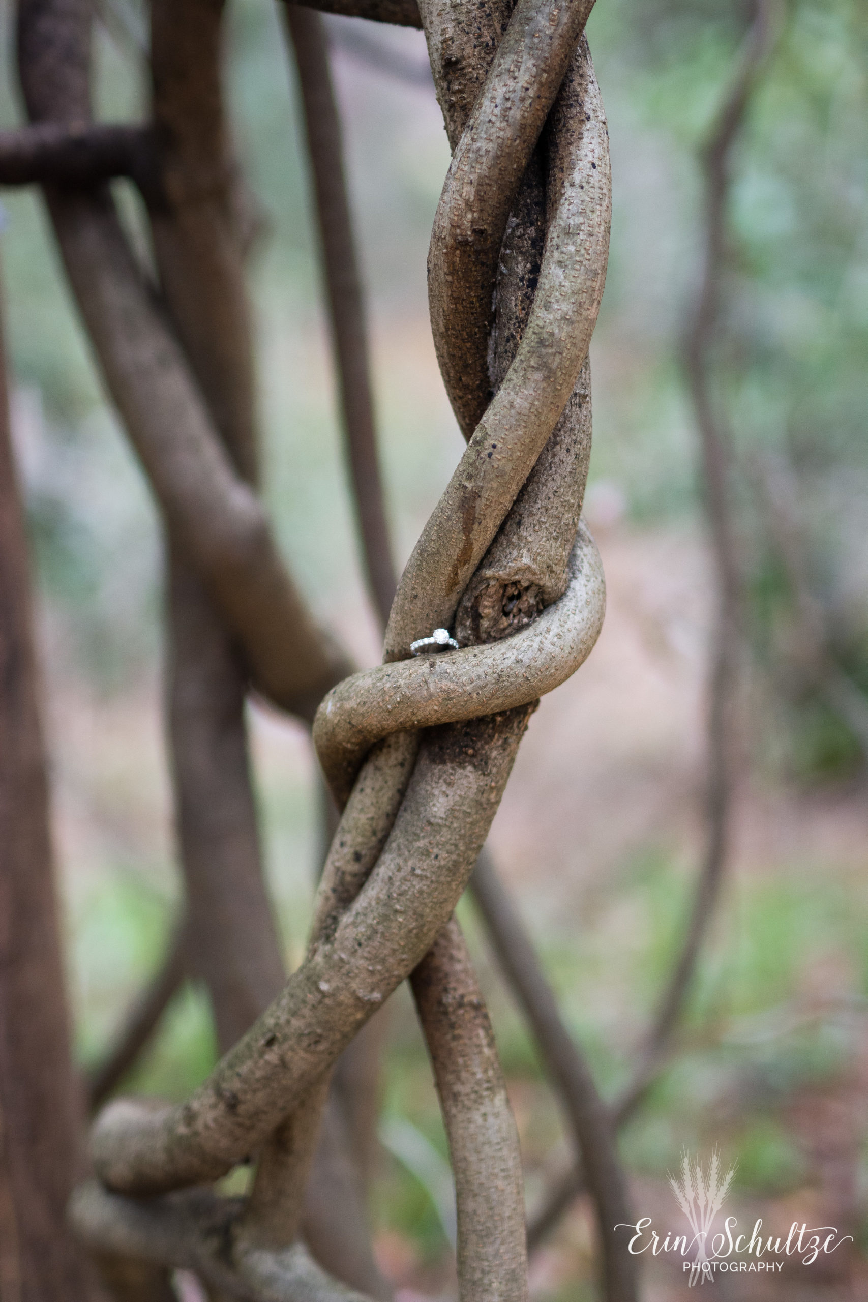 DSC_6115.jpg