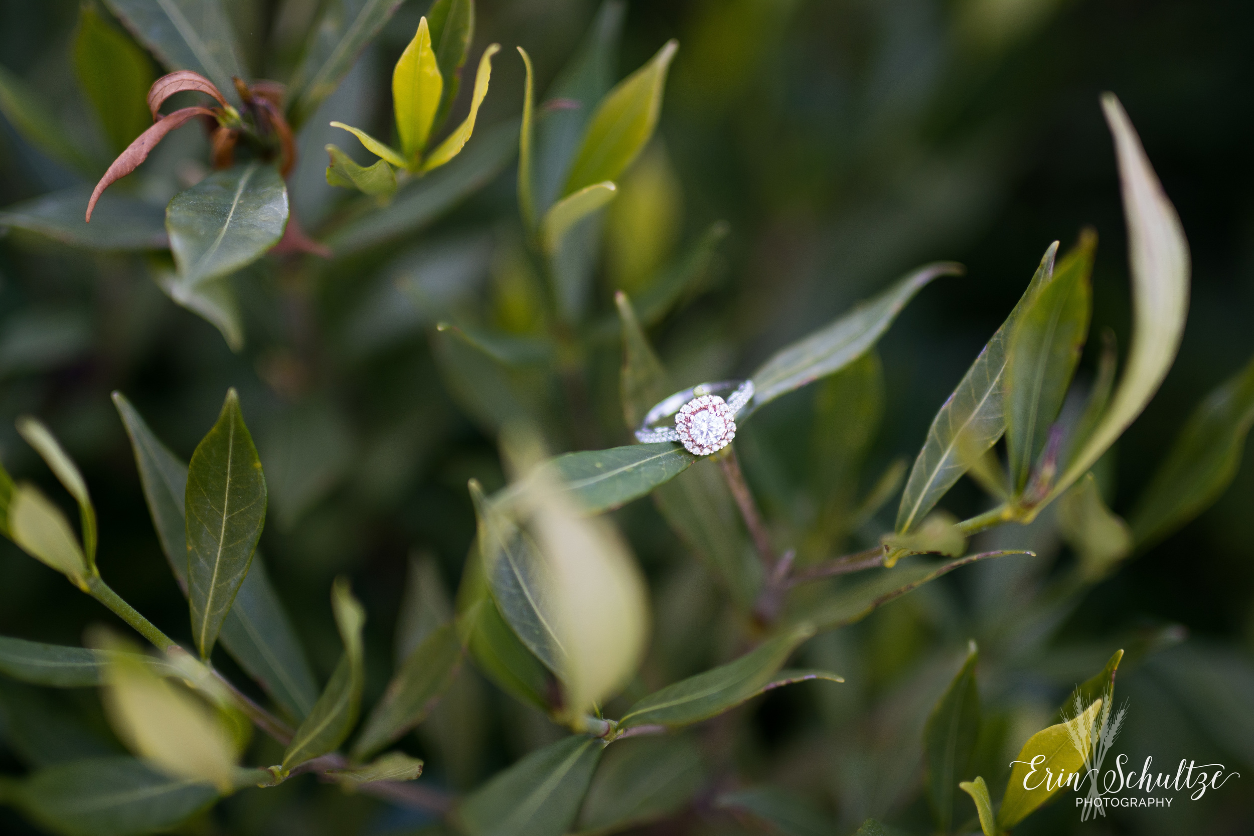 DSC_6610.jpg