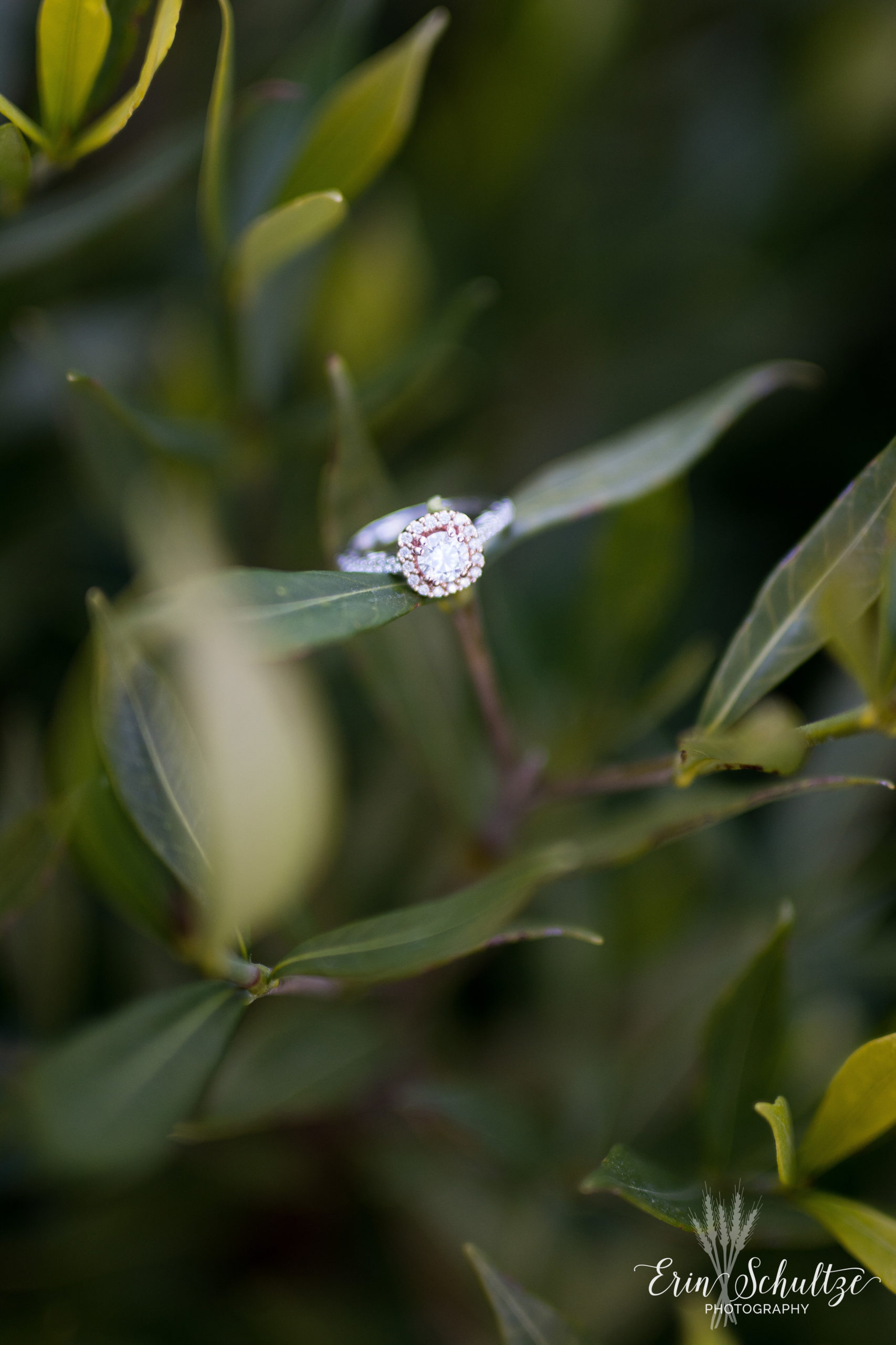 DSC_6612.jpg