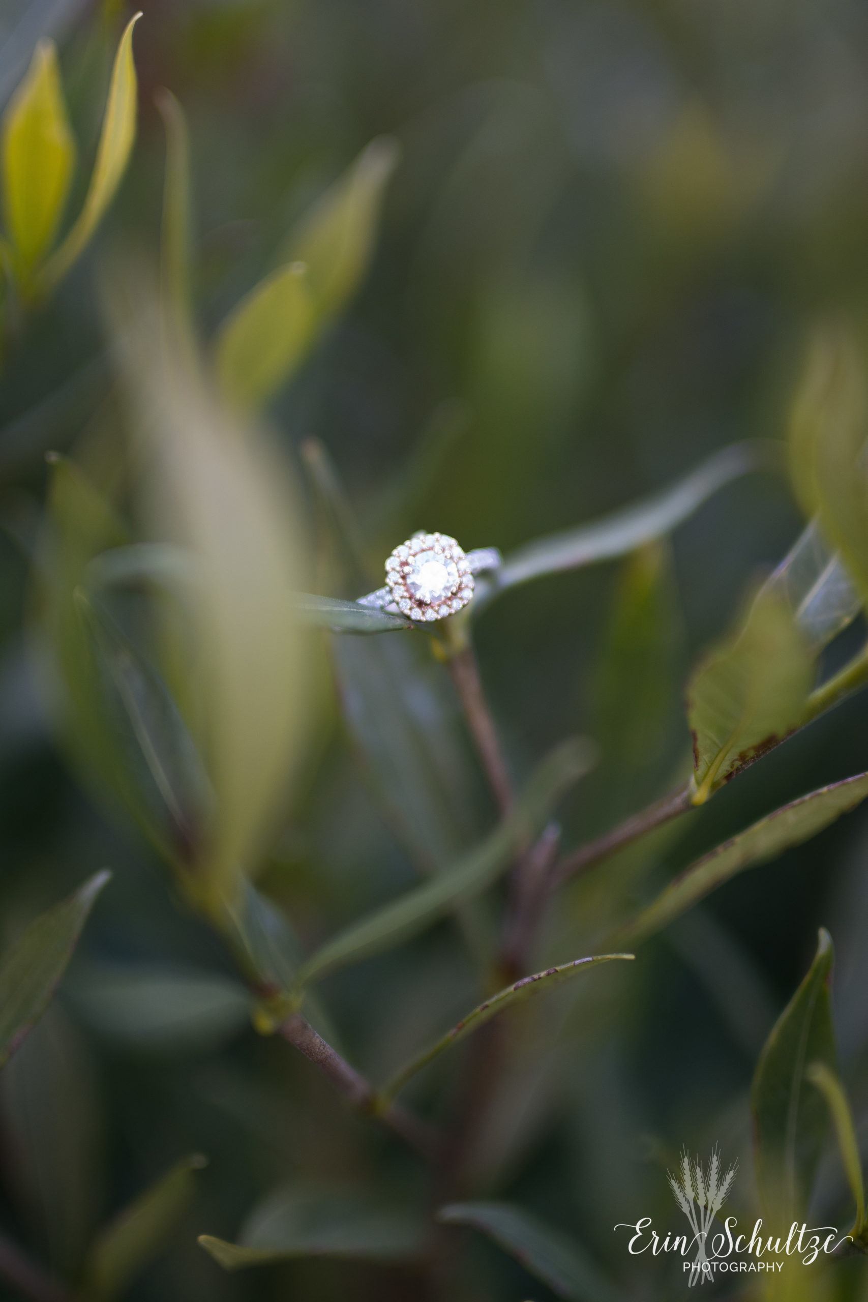 DSC_6615.jpg