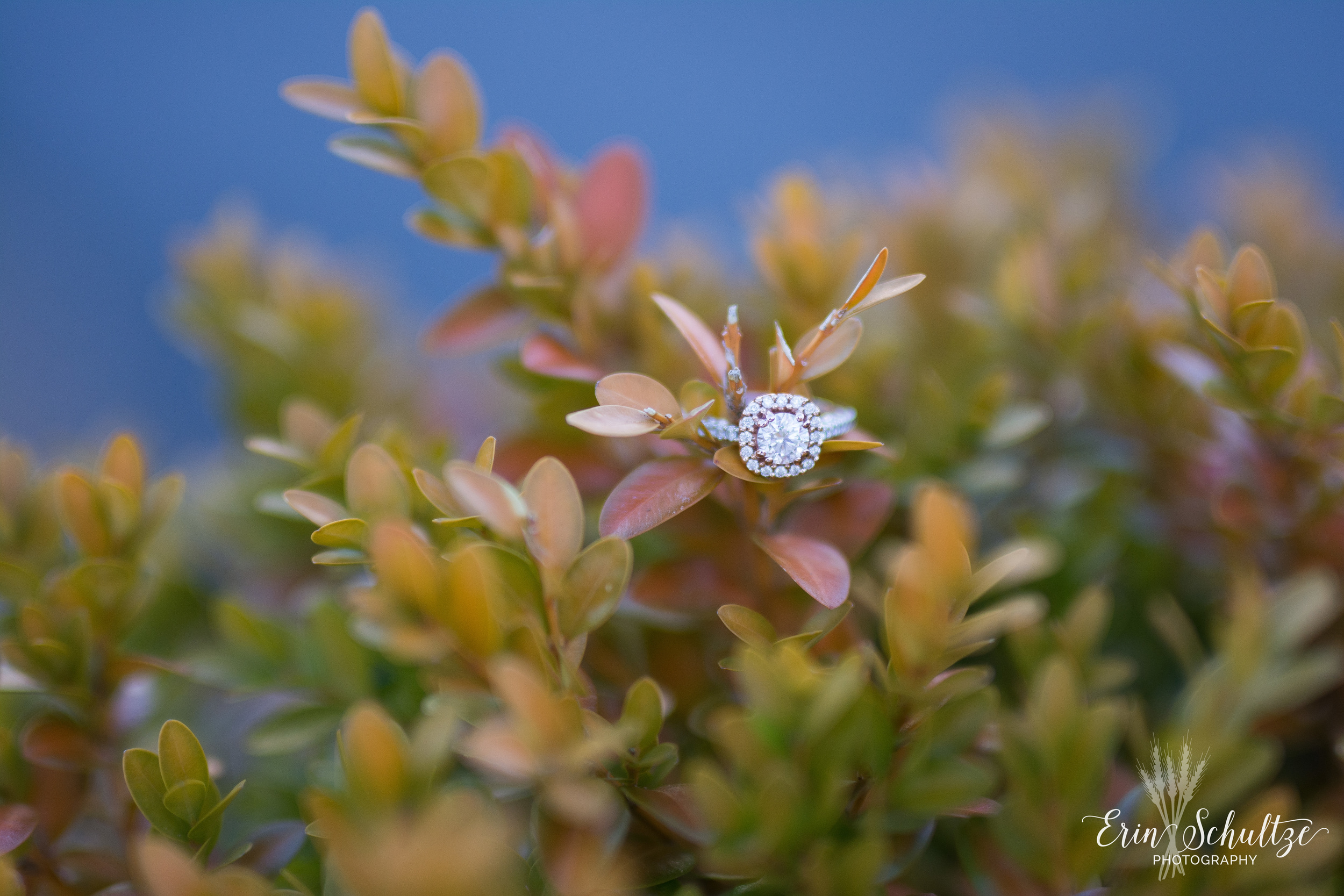 DSC_6622.jpg