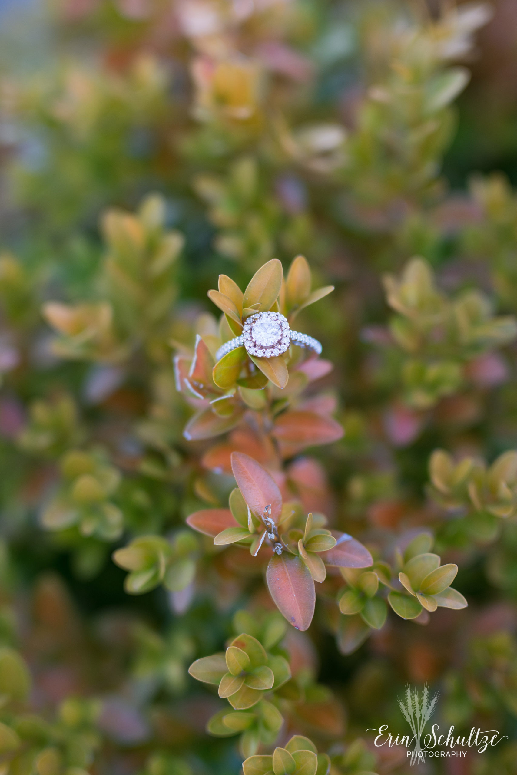 DSC_6627.jpg