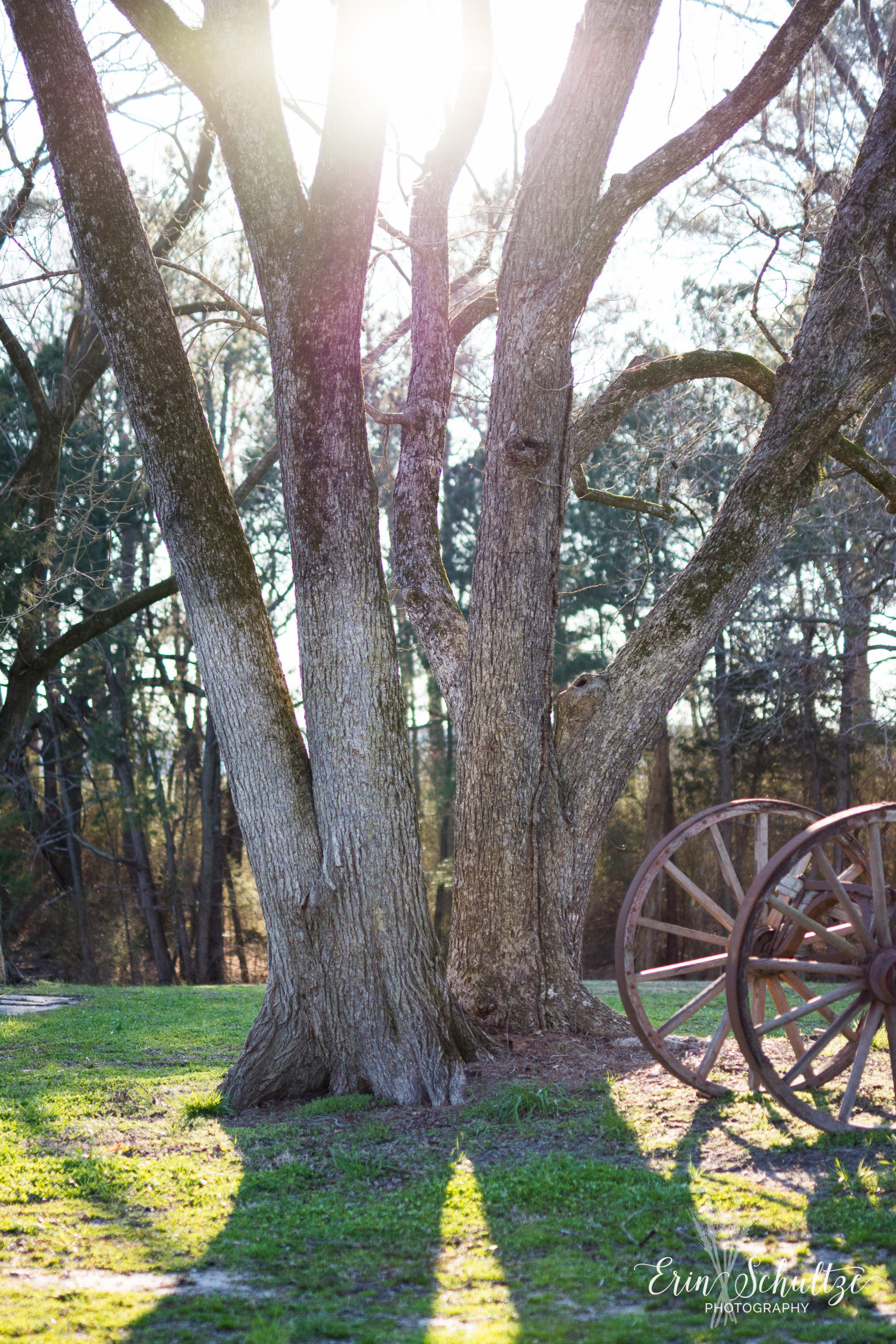 DSC_6665.jpg