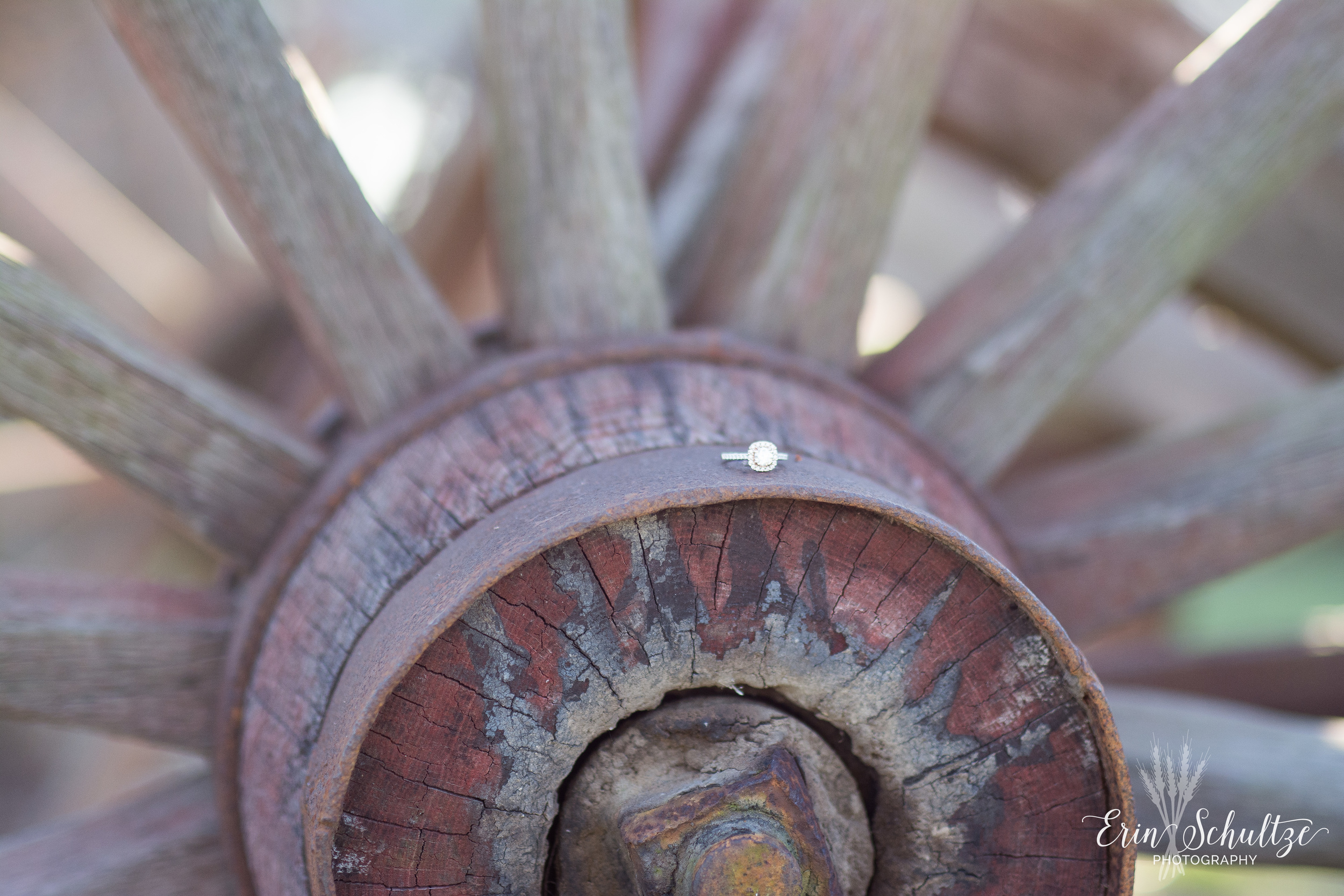 DSC_6667.jpg