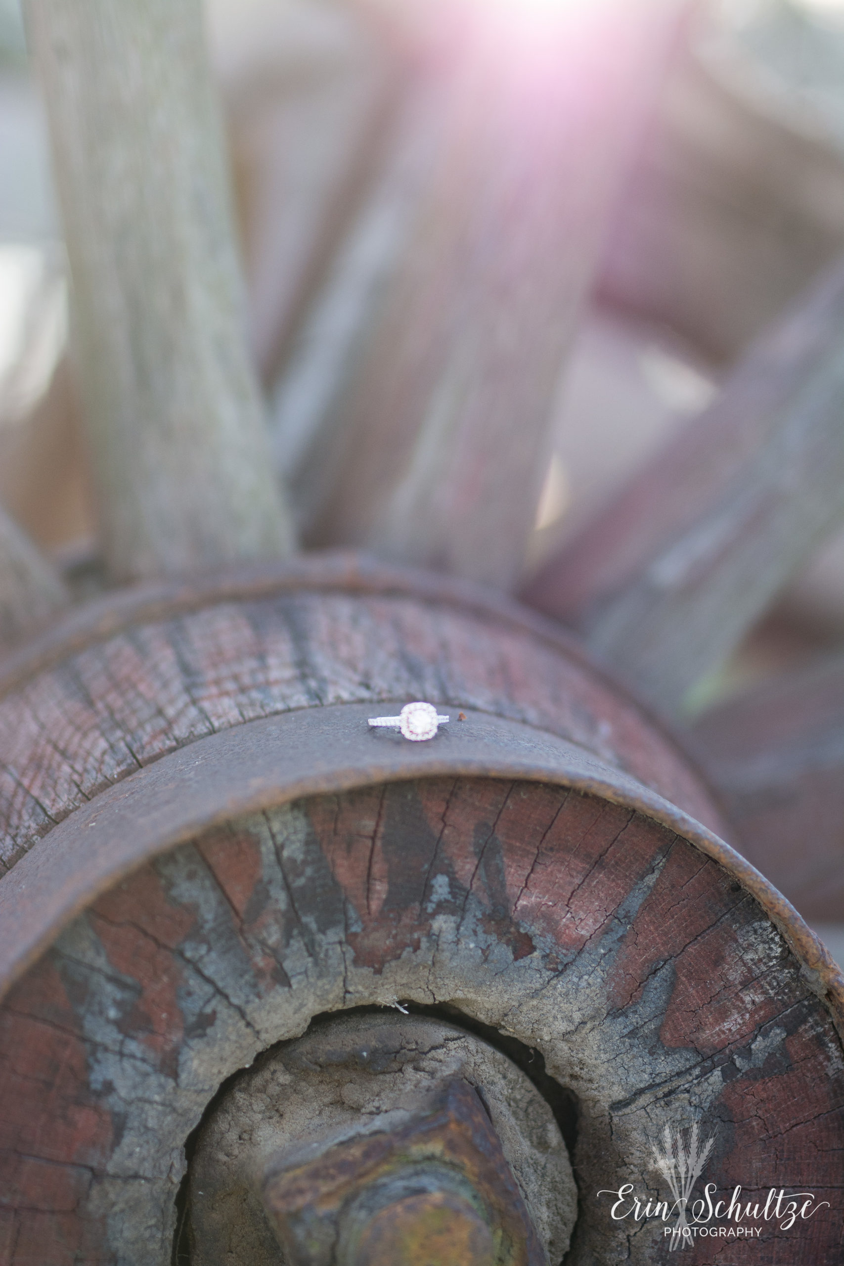 DSC_6671.jpg