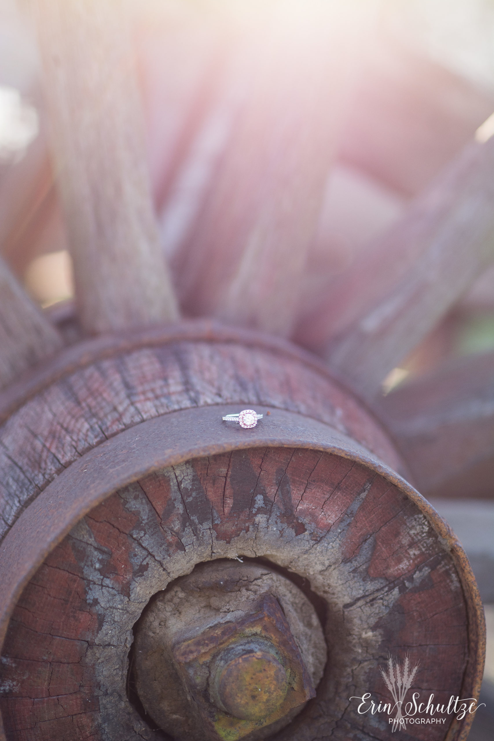 DSC_6672.jpg