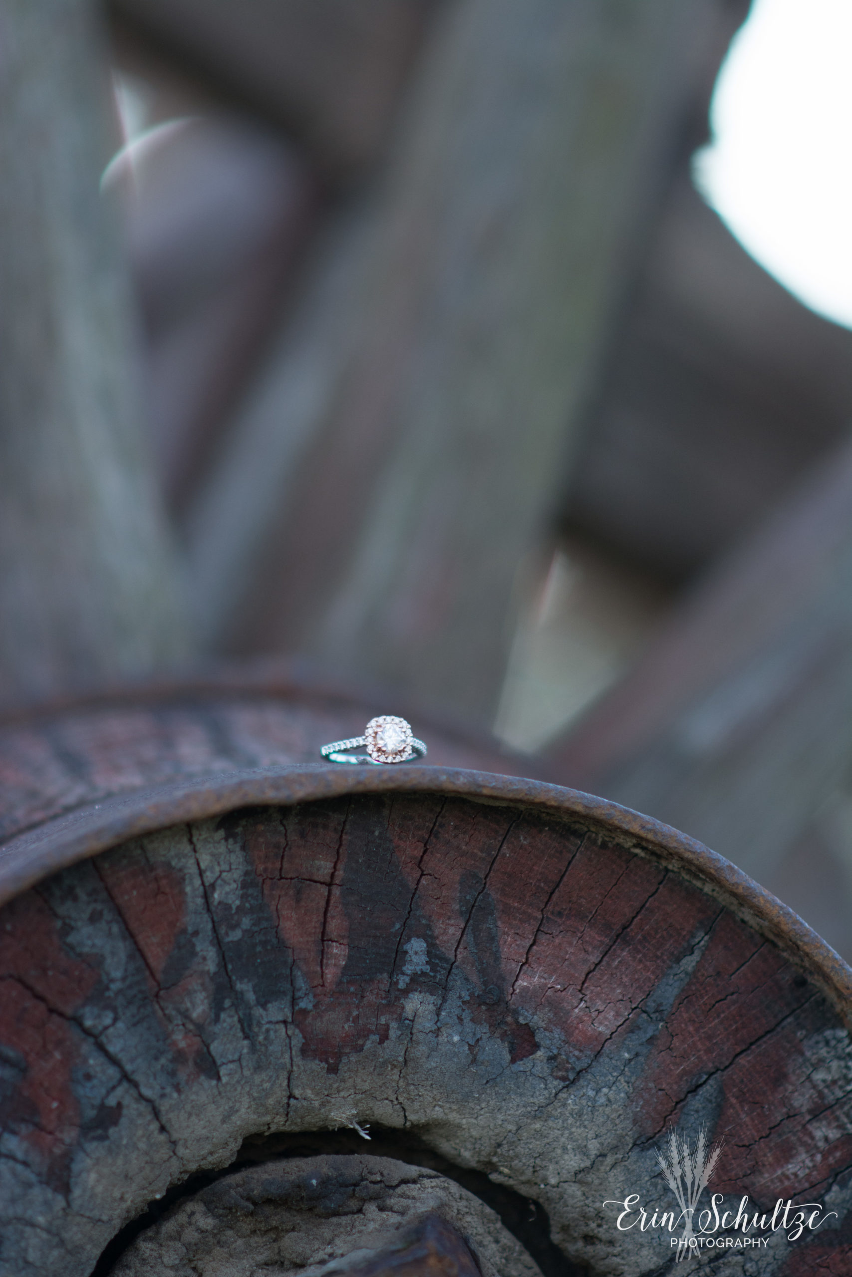 DSC_6678.jpg