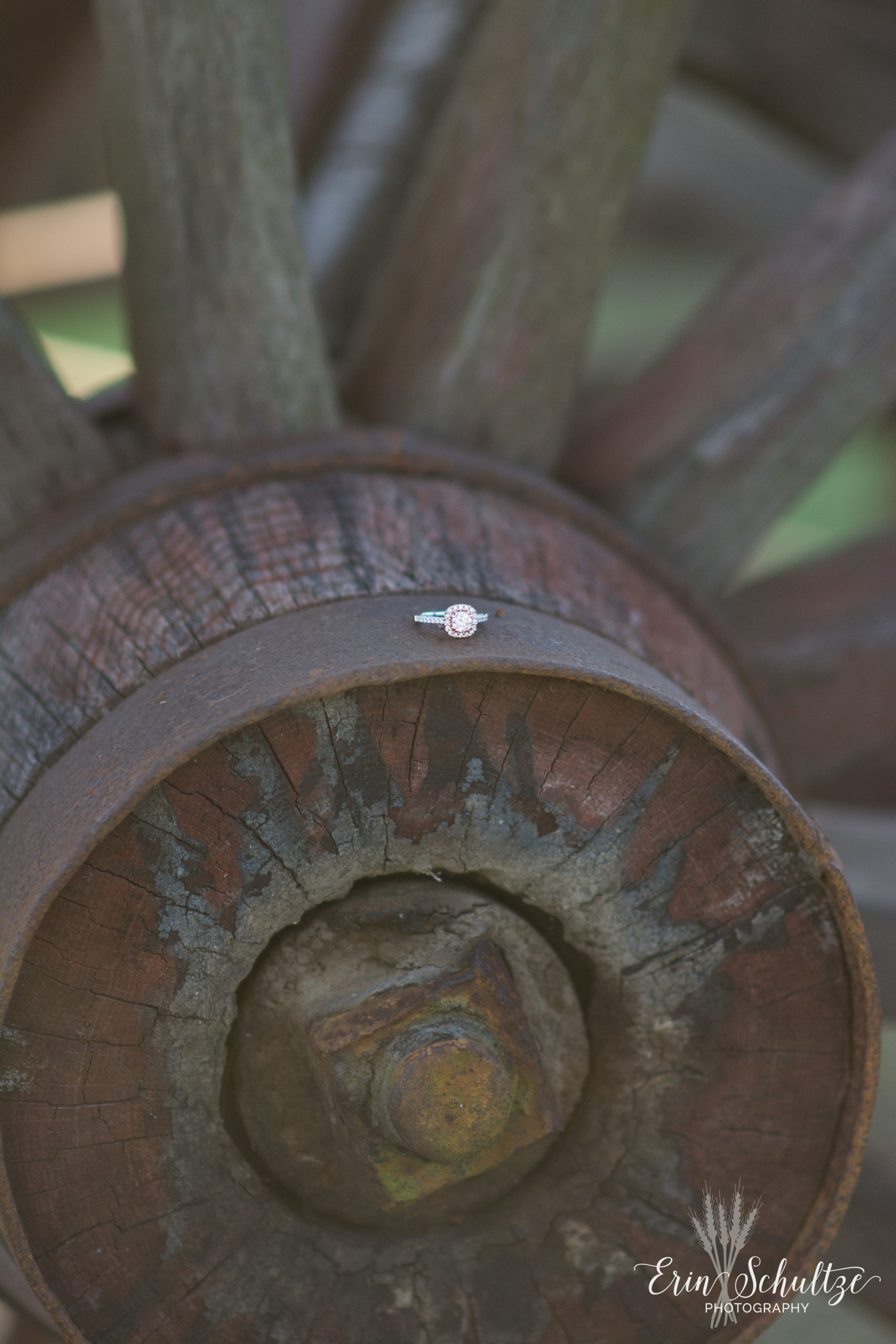 DSC_6682.jpg