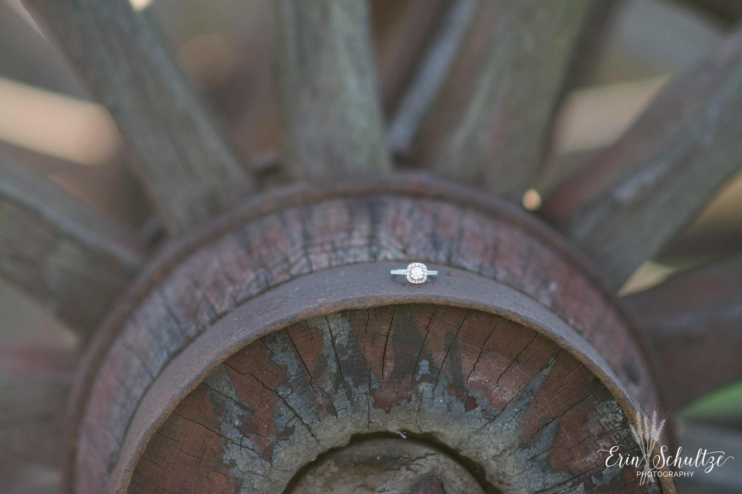 DSC_6684.jpg