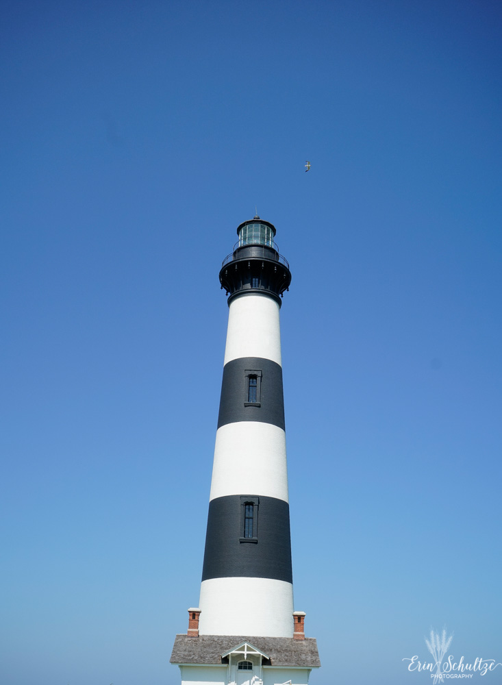 _DSC0058HighResolution.jpg
