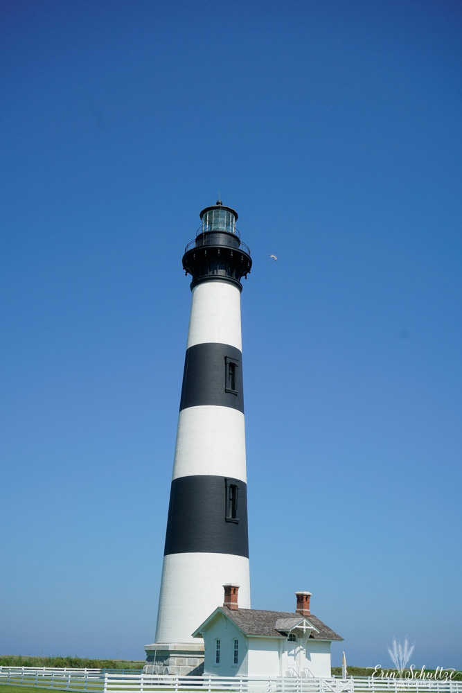 _DSC0106HighResolution.jpg
