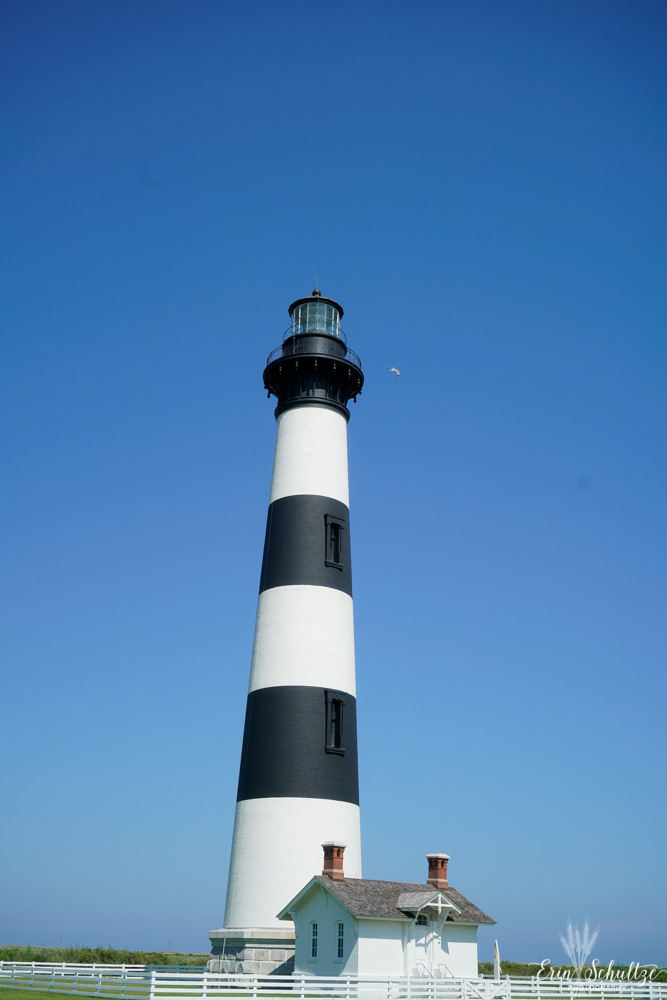 _DSC0107HighResolution.jpg