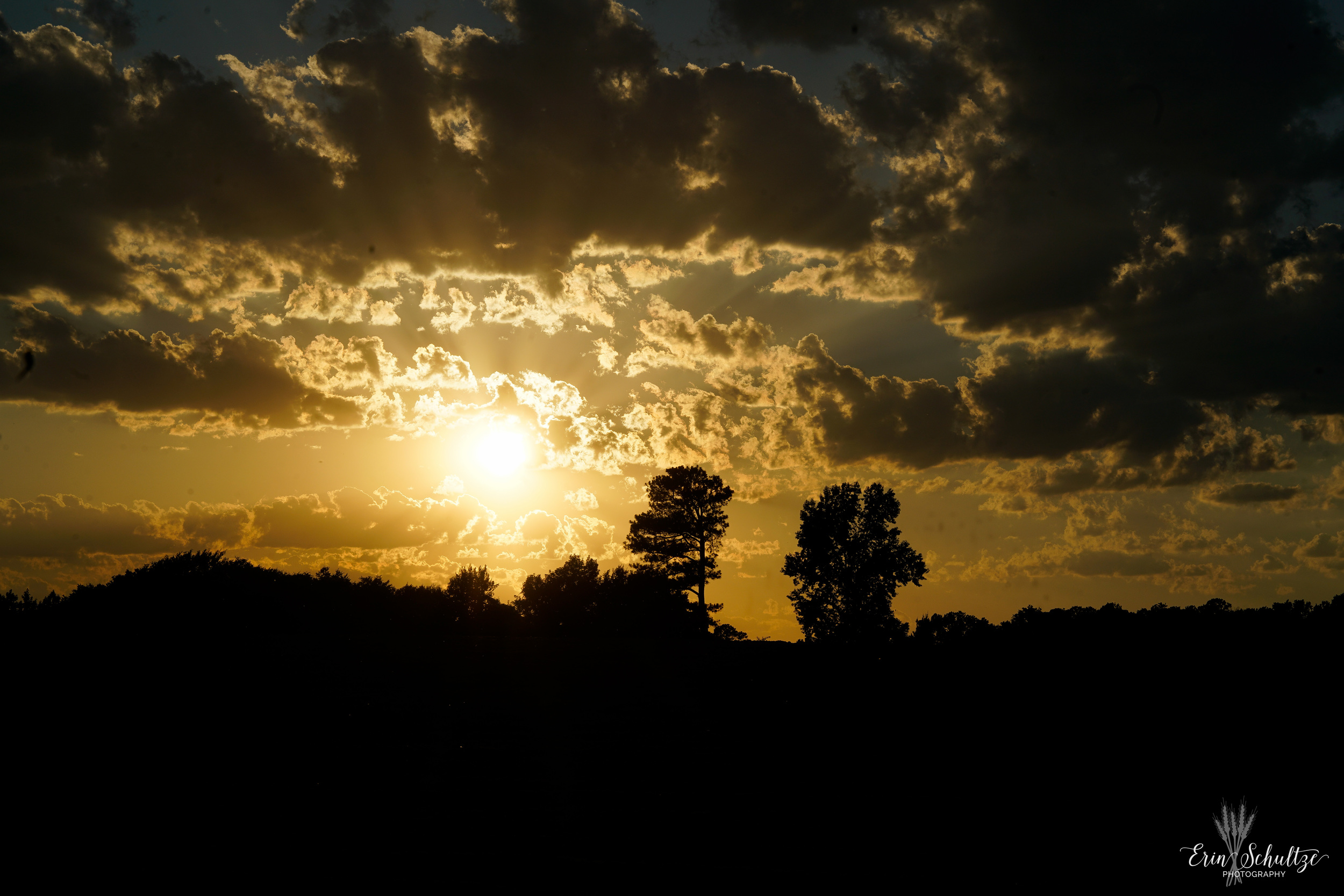 _DSC7147.jpg