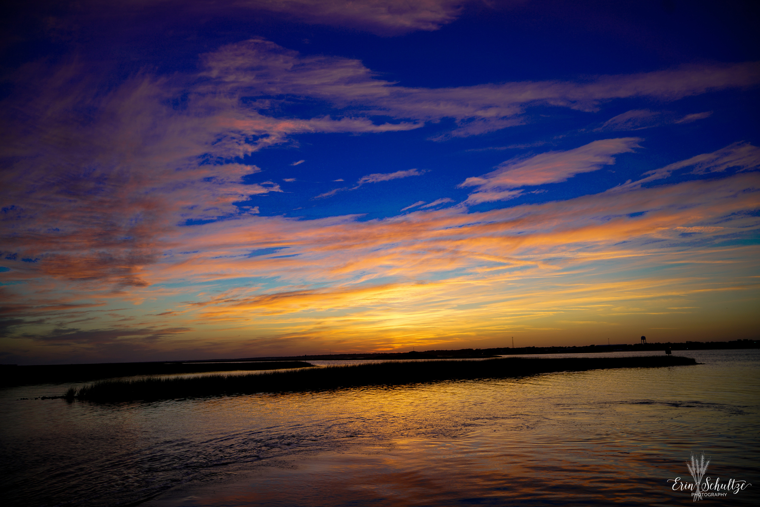 _DSC8454.jpg