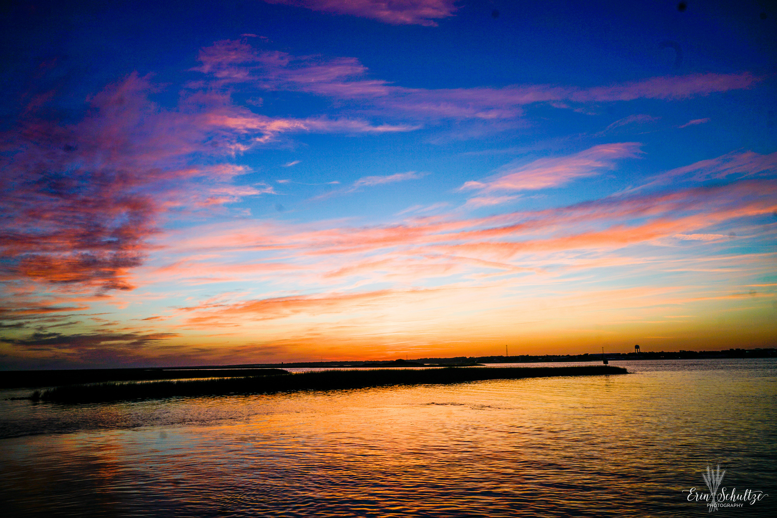 _DSC8455.jpg