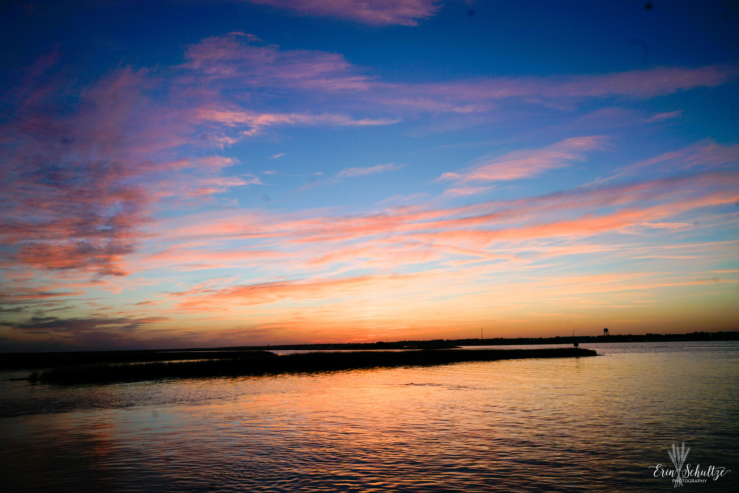 _DSC8456.jpg