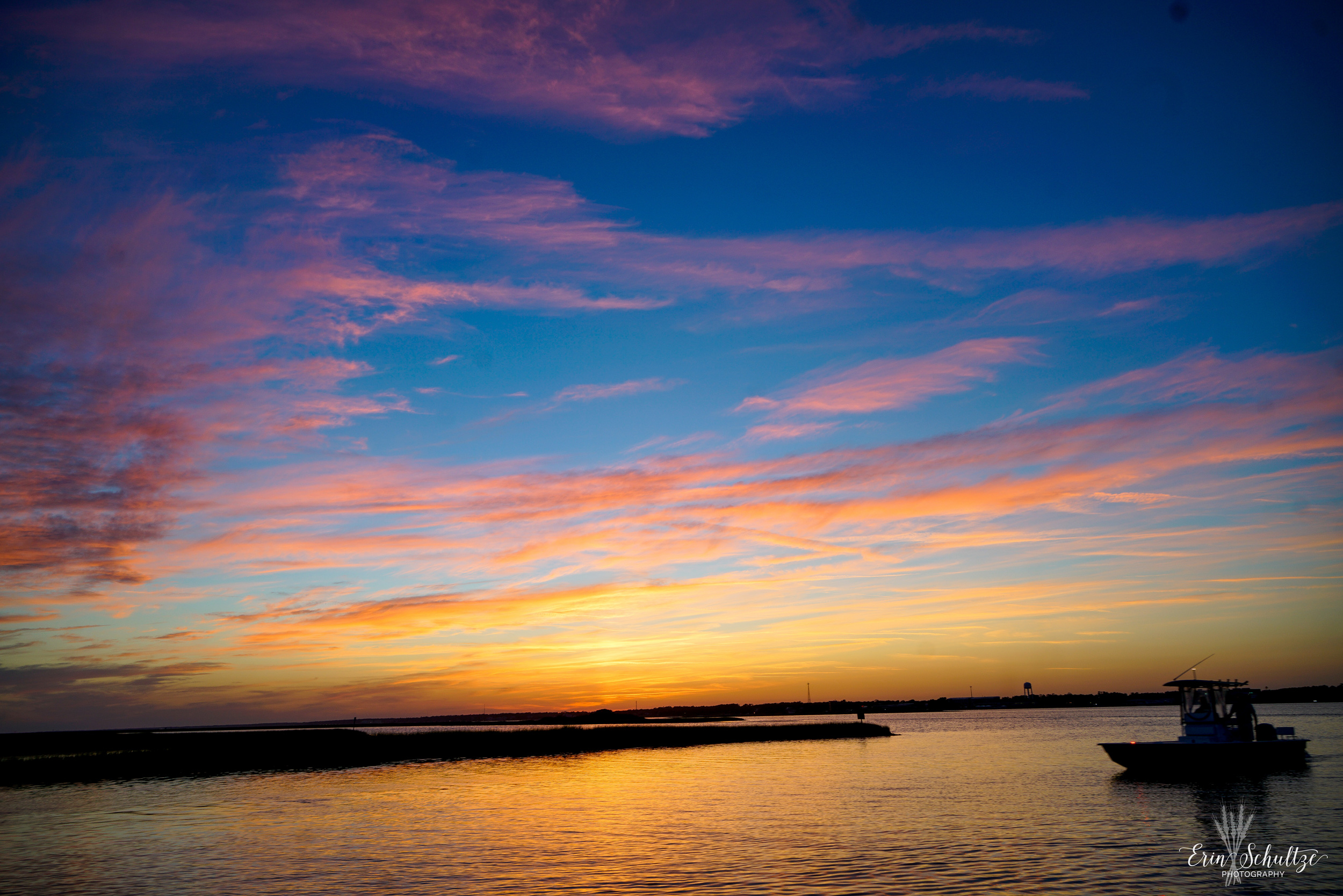 _DSC8460.jpg