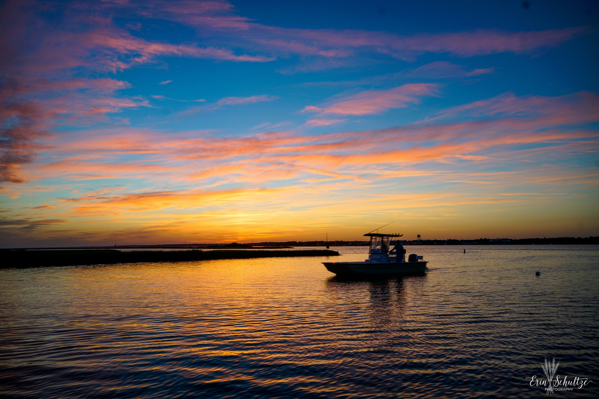 _DSC8463.jpg