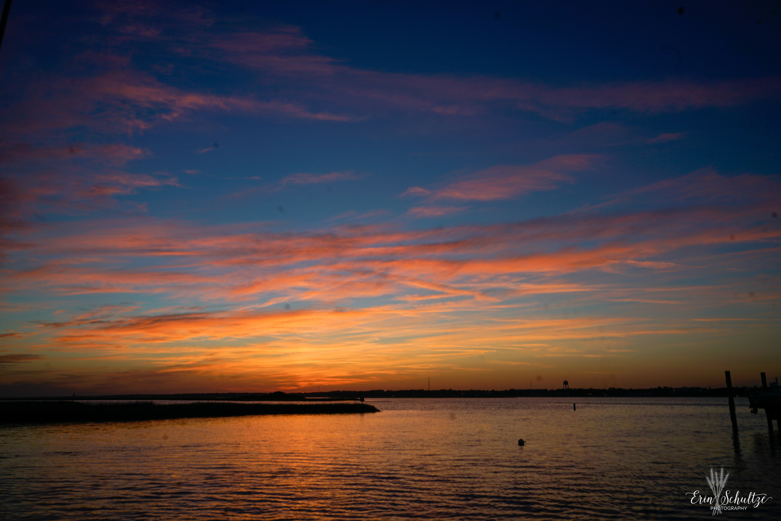 _DSC8464.jpg