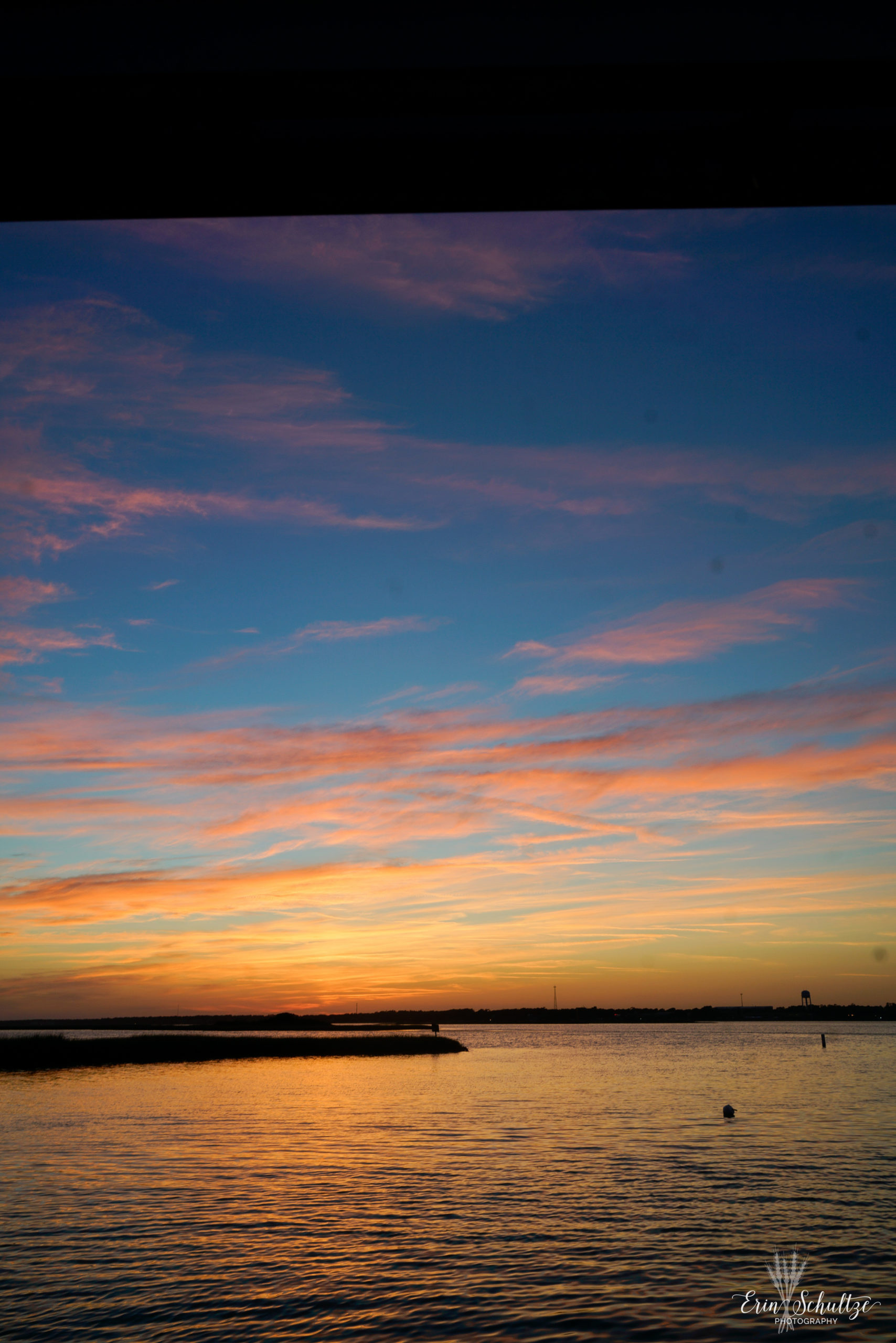 _DSC8468.jpg
