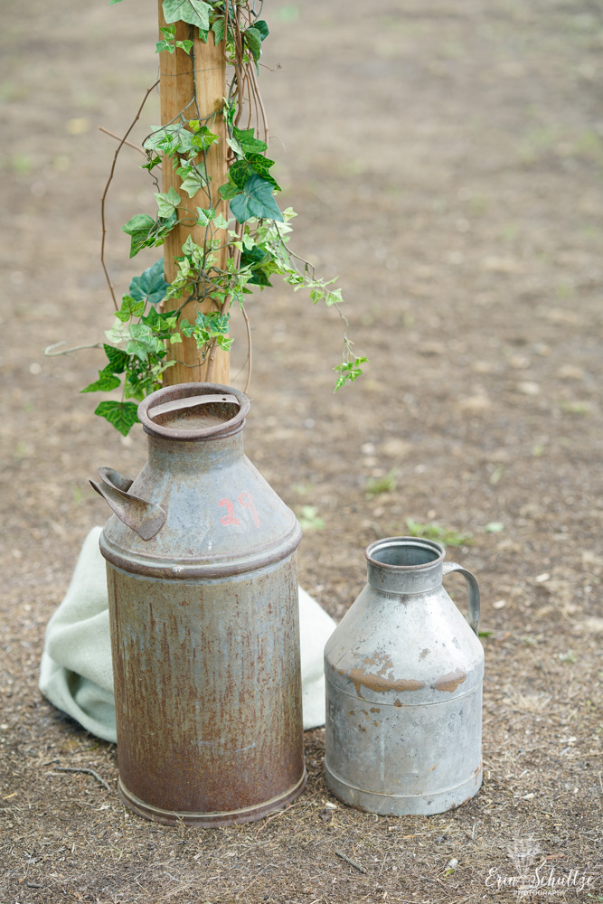 _DSC0965SippyHighResolution.jpg