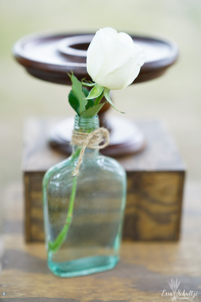 _DSC0997SippyHighResolution.jpg