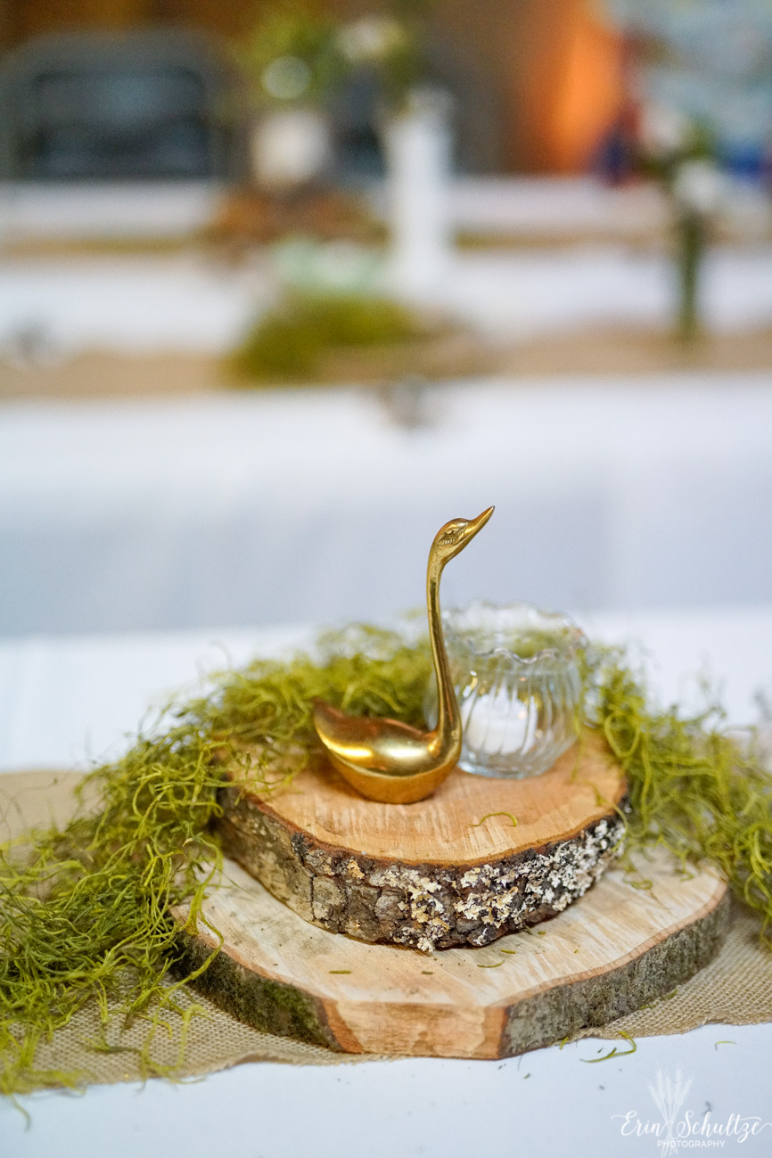 _DSC0290HighResolution.jpg