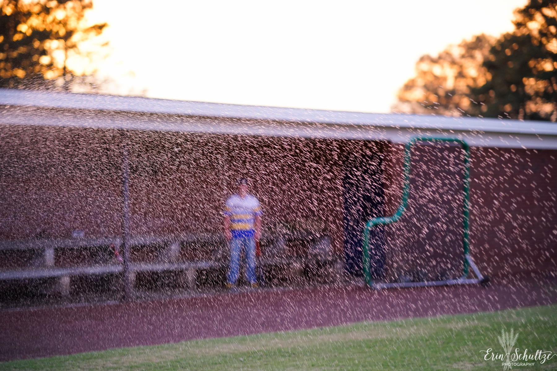 _DSC0303HighResolution.jpg