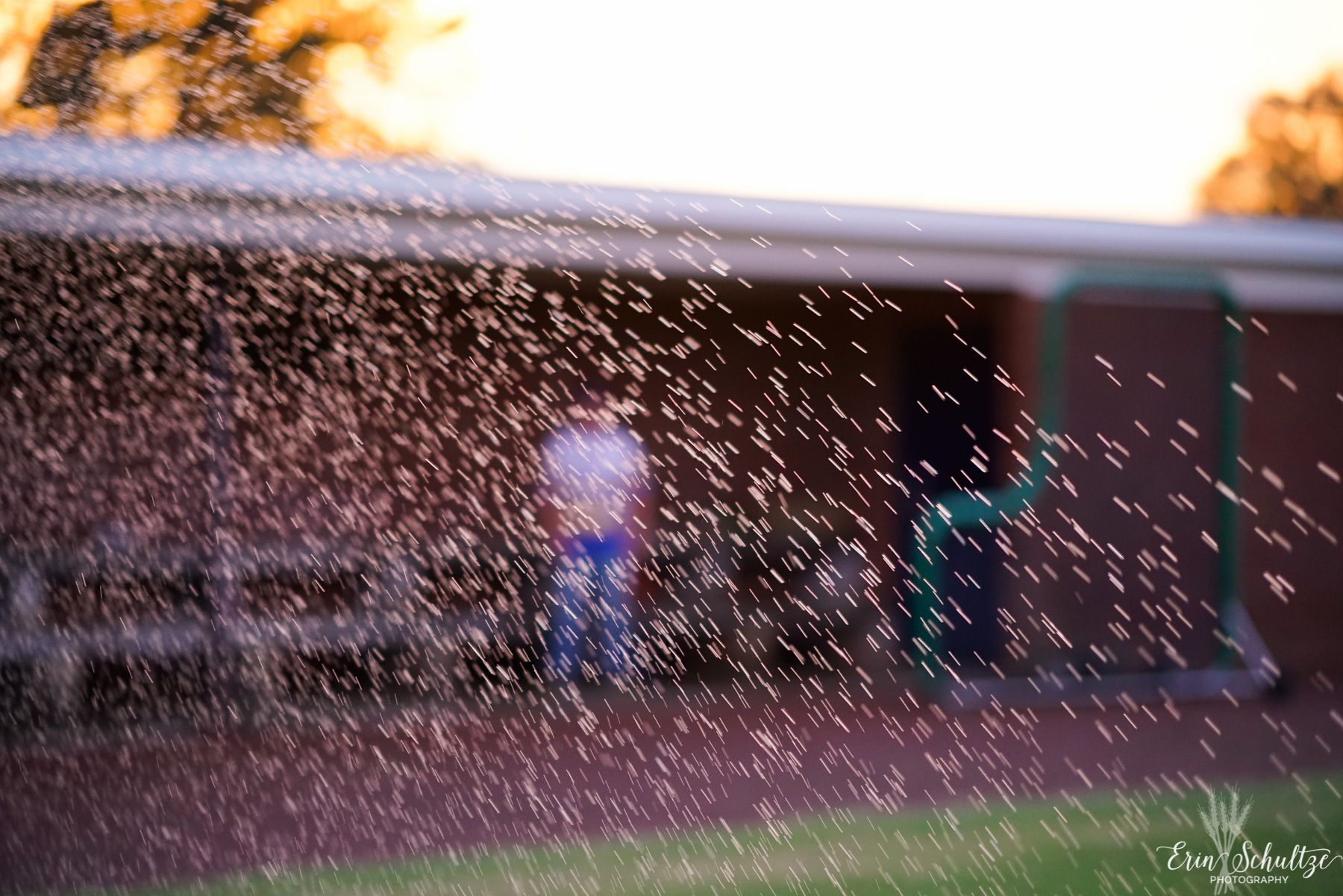 _DSC0306HighResolution.jpg