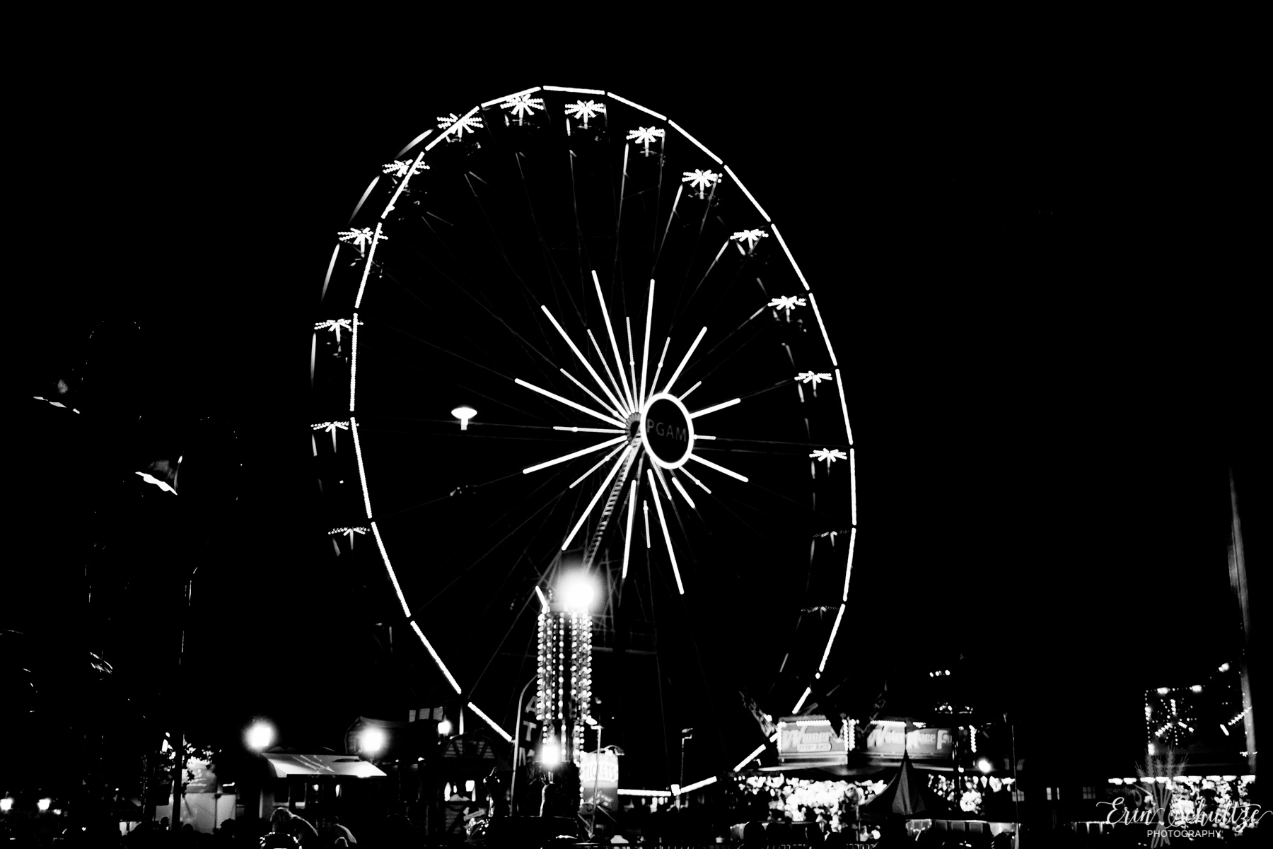 _DSC4008HighResolution.jpg