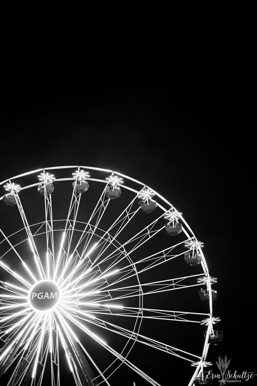 _DSC4051HighResolution.jpg