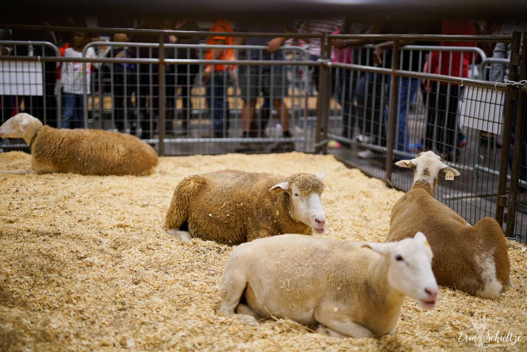 _DSC4081HighResolution.jpg