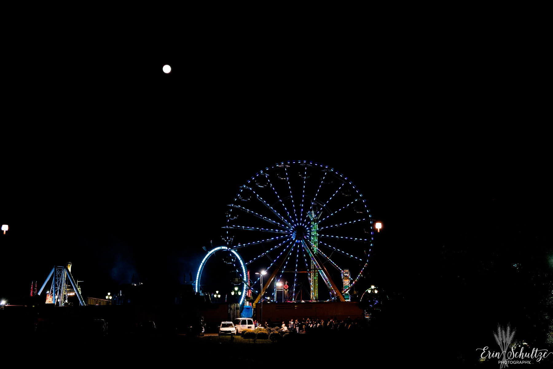 _DSC4141HighResolution.jpg