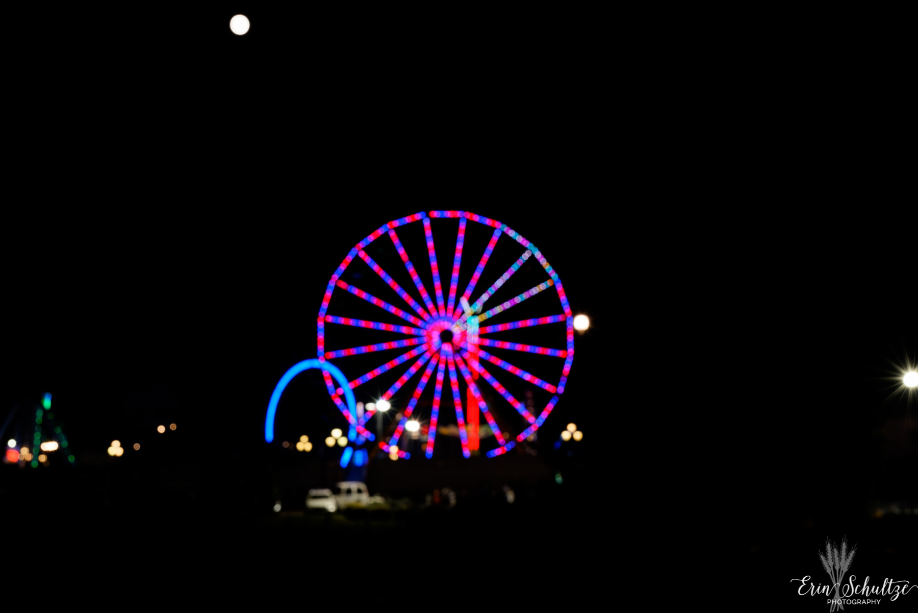 _DSC4211HighResolution.jpg