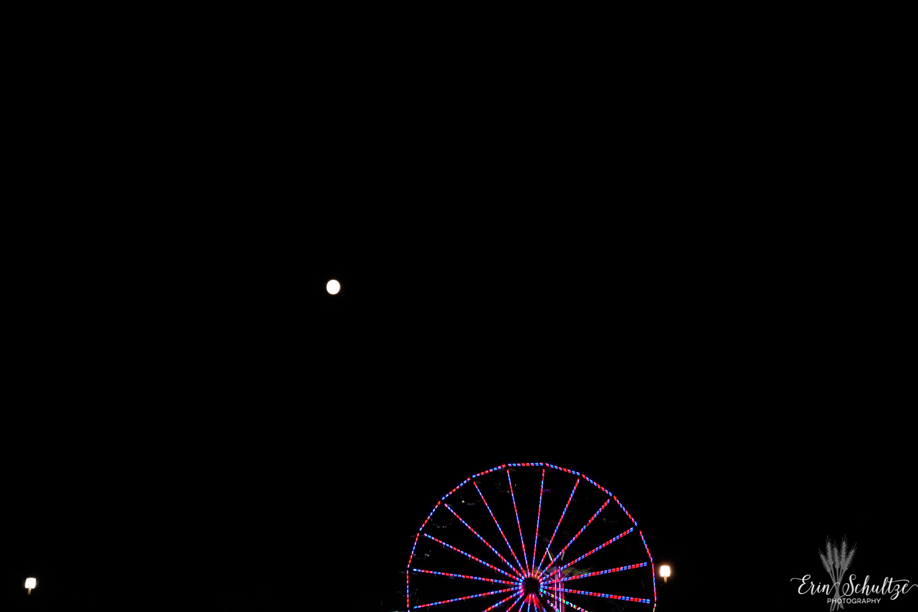 _DSC4218HighResolution.jpg