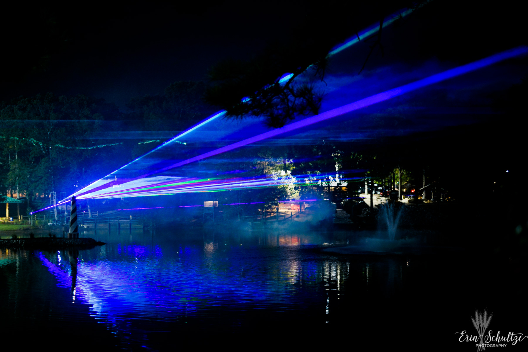 _DSC4236HighResolution.jpg