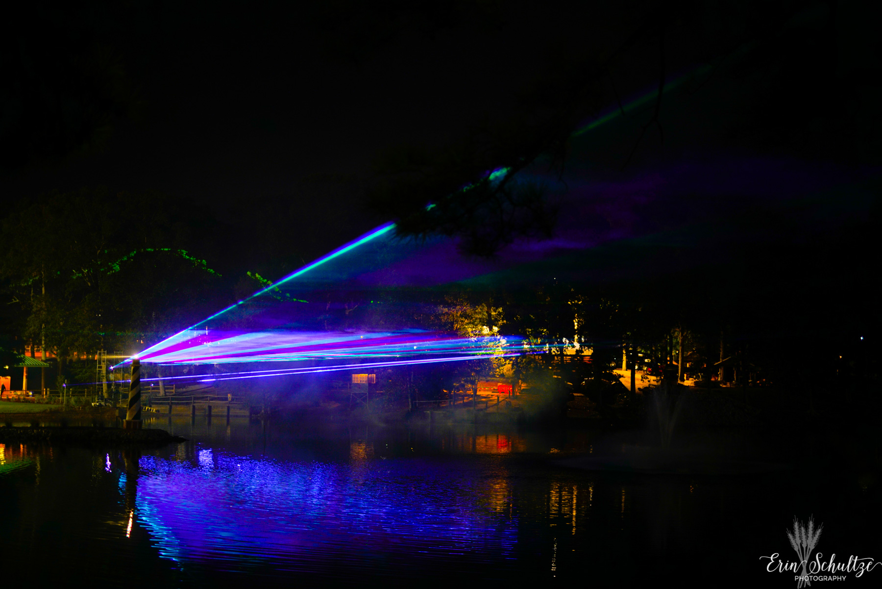 _DSC4241HighResolution.jpg