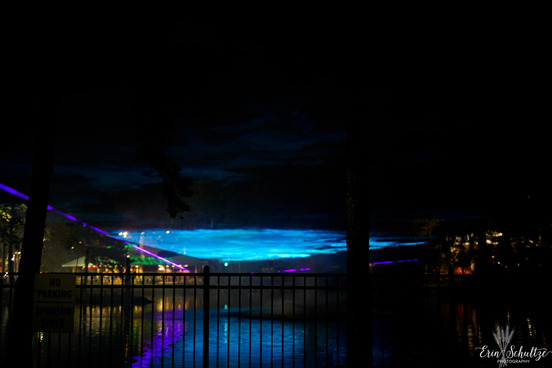 _DSC4246HighResolution.jpg