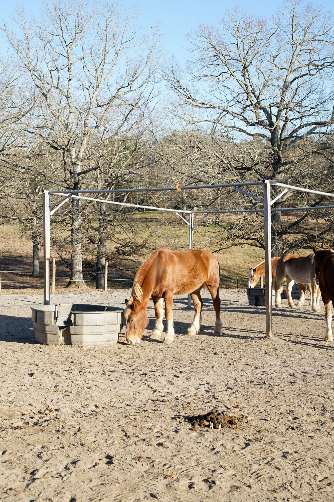 _DSC6102HighResolution.jpg