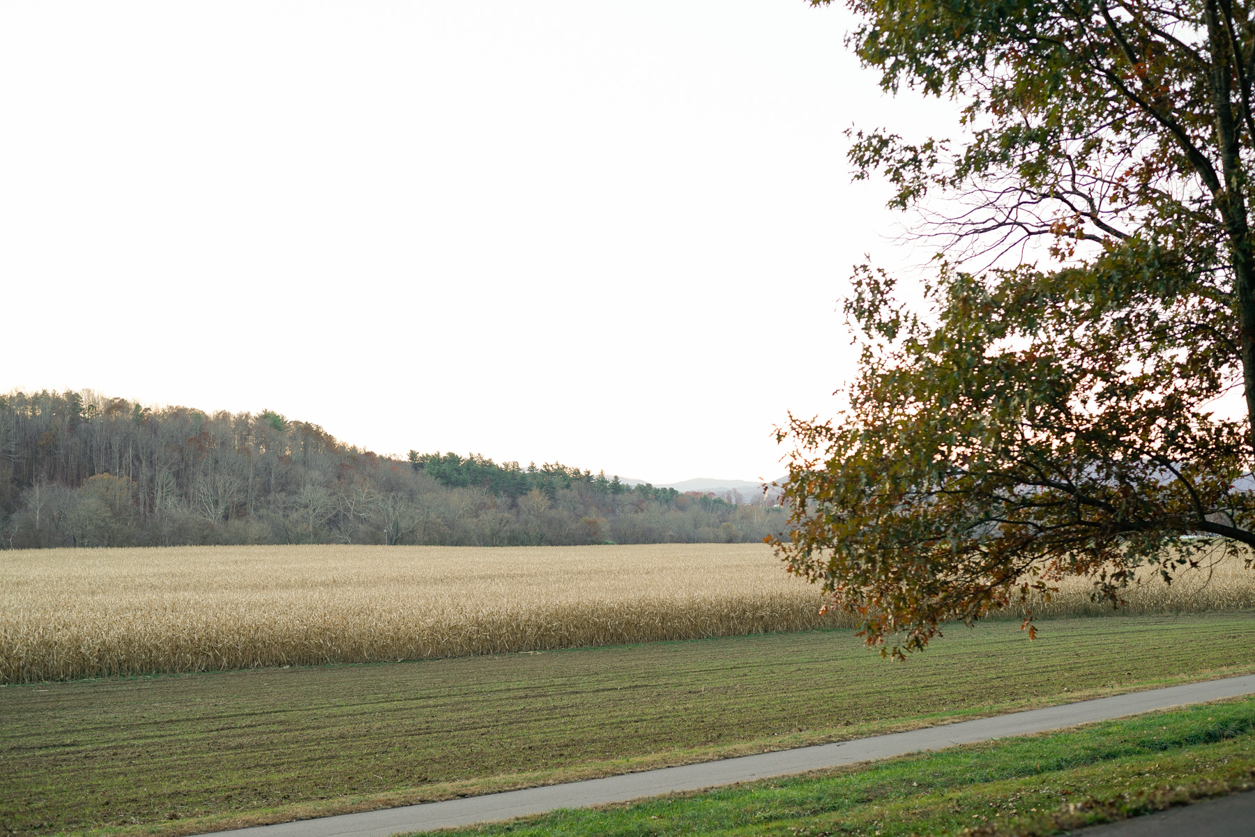 _DSC6113HighResolution.jpg