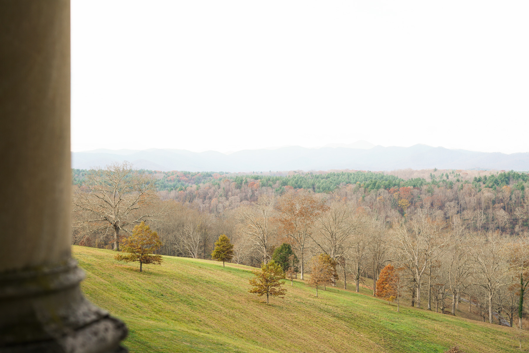 _DSC6202HighResolution.jpg