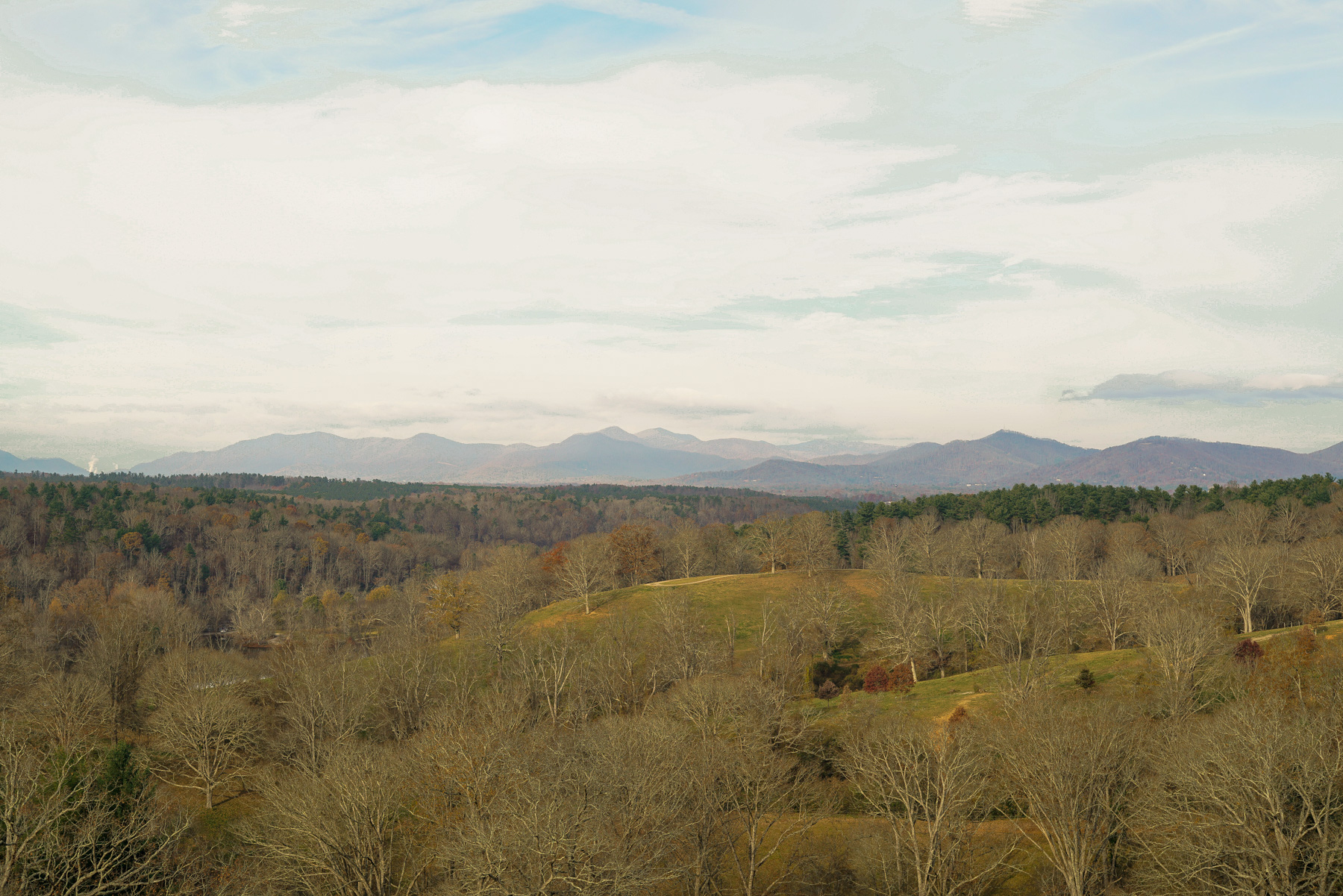 _DSC6205HighResolution.jpg