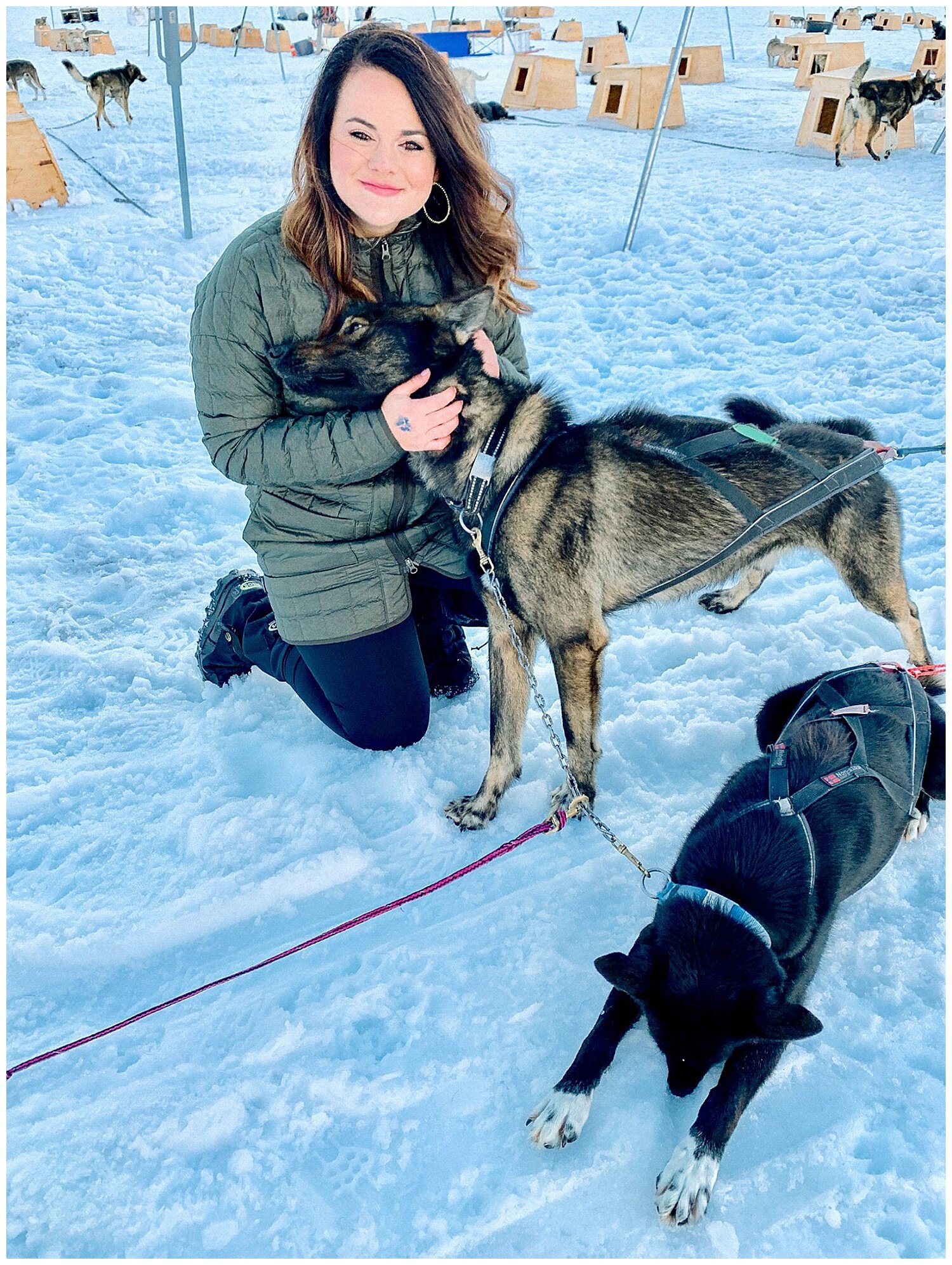  WENT DOG SLEDDING IN JUNEAU ALASKA  